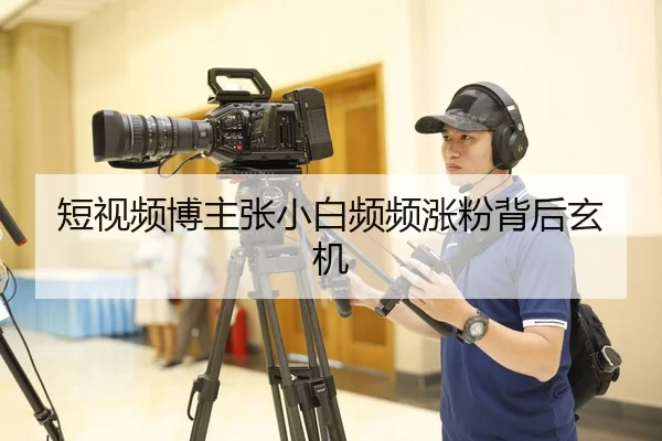 短视频博主张小白频频涨粉背后玄机